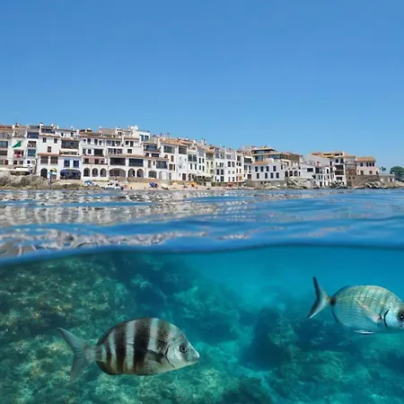 Recien Reformado A 300 Metros Del Mar * Calella De Palafrugell