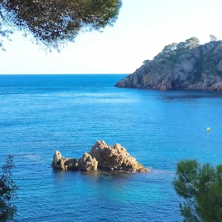 Recien Reformado A 300 Metros Del Mar Calella De Palafrugell