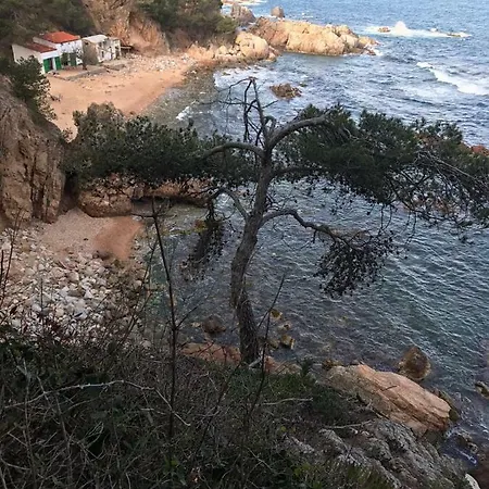 Recien Reformado A 300 Metros Del Mar *